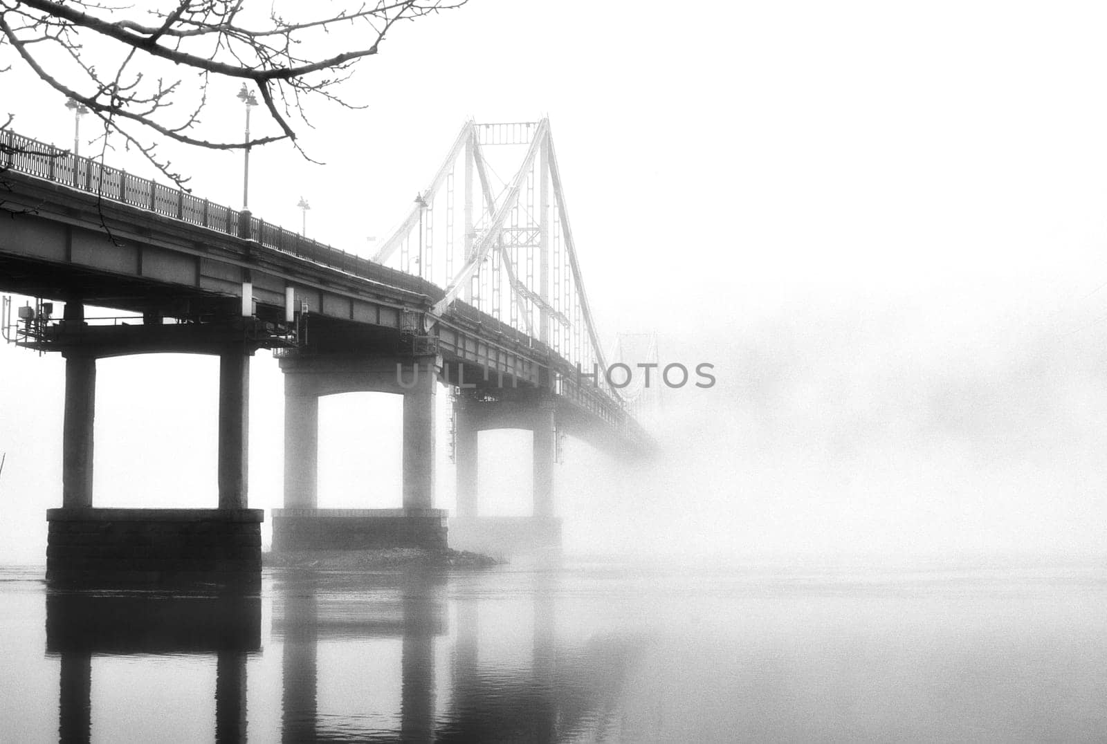 The thick fog lends an air of mystery to the scene, softening the edges of the landscape and blurring the boundaries between reality and imagination.