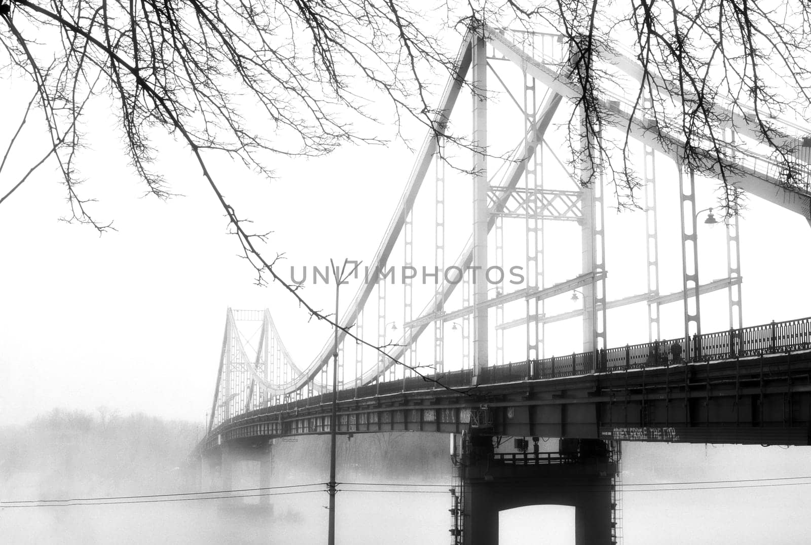 A solitary bridge emerges from the ethereal embrace of mist, casting an enchanting aura over the tranquil waters below.