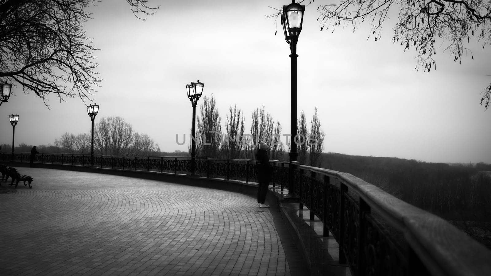 Black and white image with a bench in a city park and brenches. High quality photo