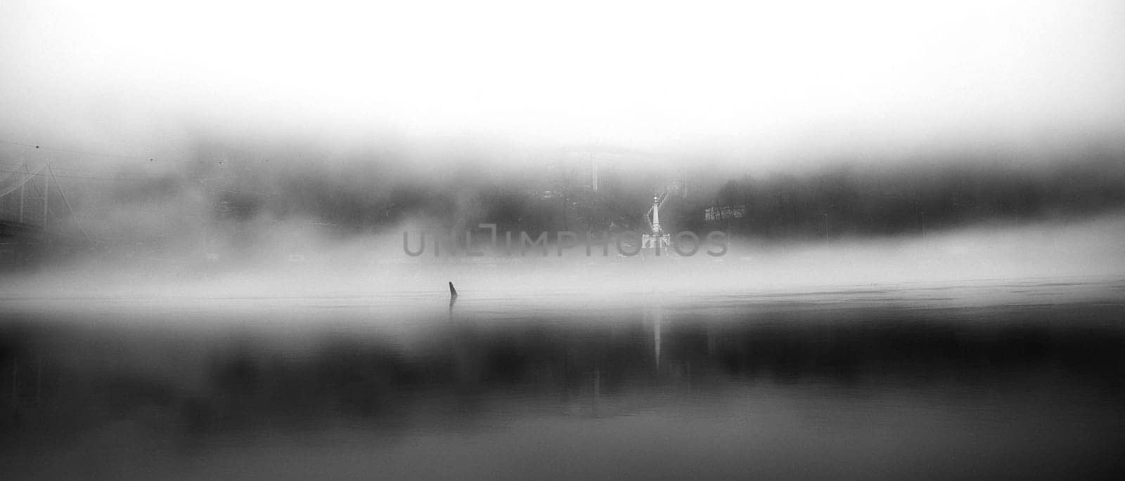 The thick fog lends an air of mystery to the scene, softening the edges of the landscape and blurring the boundaries between reality and imagination.