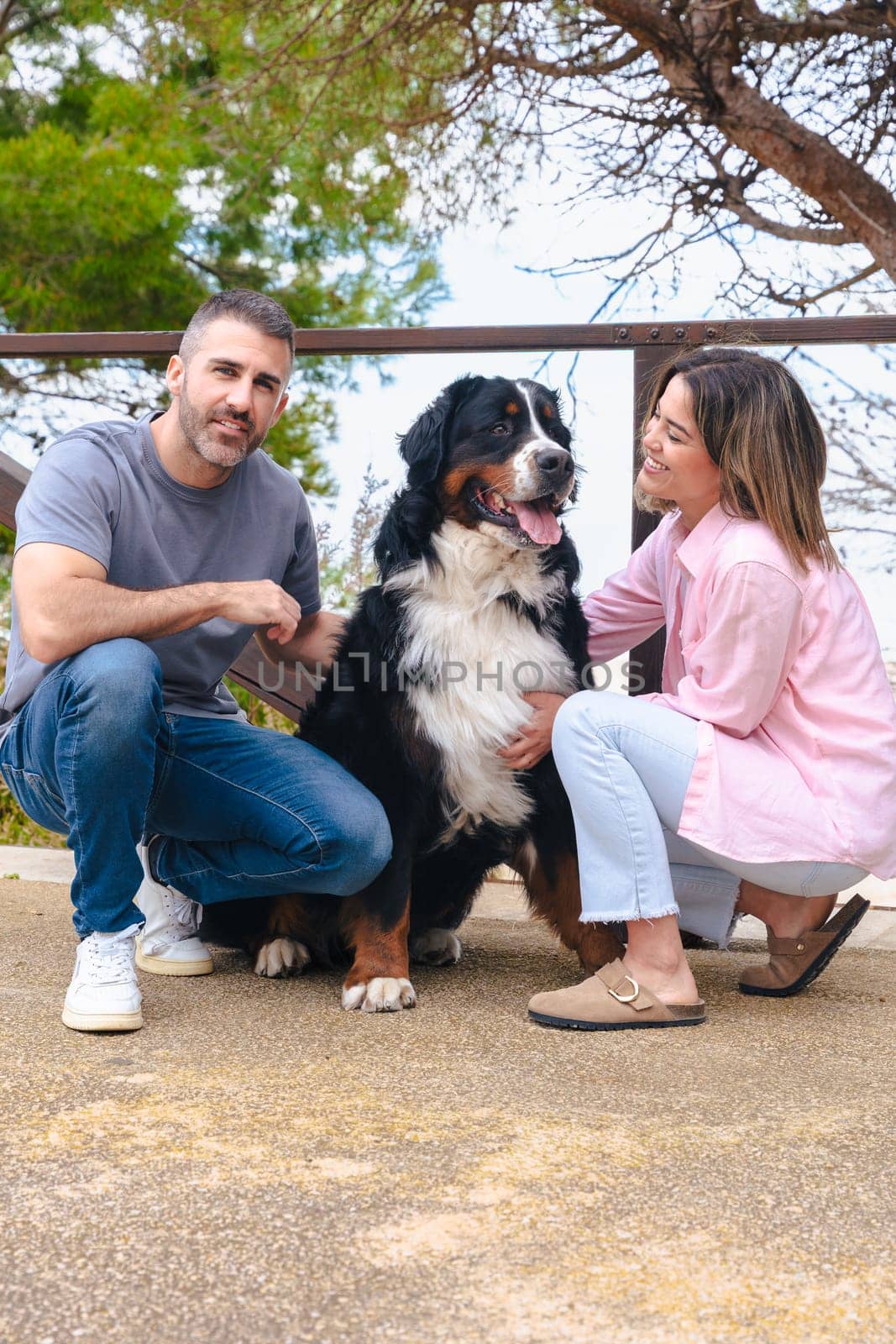 Vertical Portrait Happy couple bonding with their Bernese Mountain Dog in a natural outdoor setting. Smiling and relaxed moment showing companionship, love, and joy during a bright, fresh spring day.