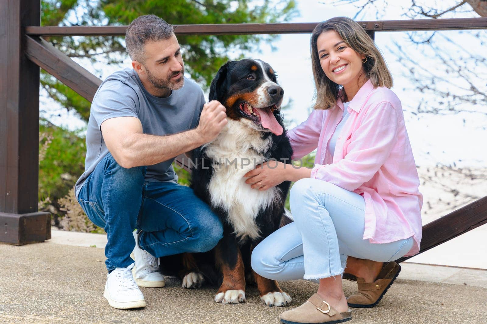 Portrait Happy couple bonding with their Bernese Mountain Dog in a natural outdoor setting. Smiling and relaxed moment showing companionship, love, and joy during a bright, fresh spring day.