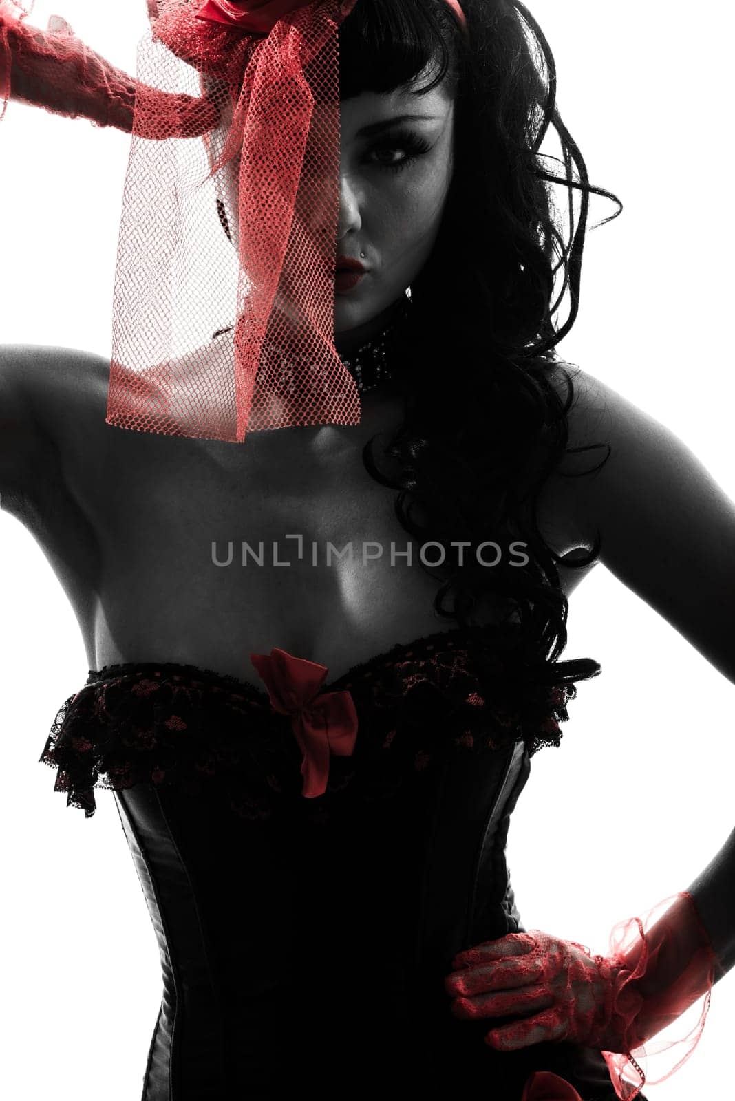 one caucasian woman stripper showgirl portrait  in silhouette studio isolated on white background