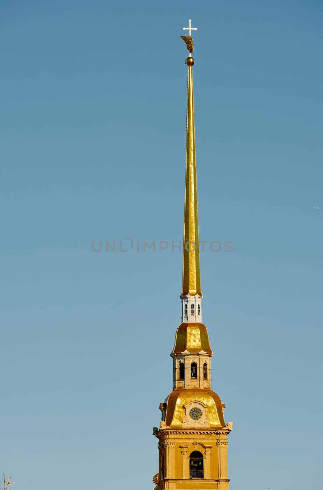 the Peter and Paul Fortress spire at sunset. High quality photo