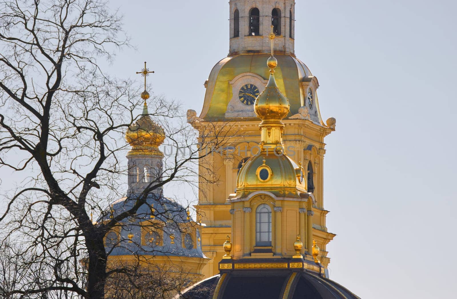 the Peter and Paul Fortress spire at sunset. High quality photo