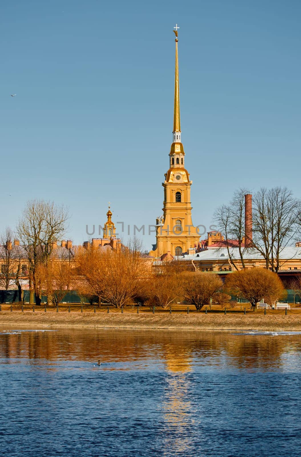 the Peter and Paul Fortress spire at sunset. High quality photo