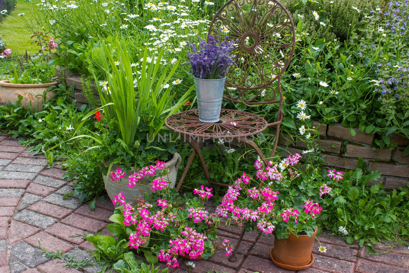 herb spiral in the garden with fresh herbs and flowers and old chair with lavender