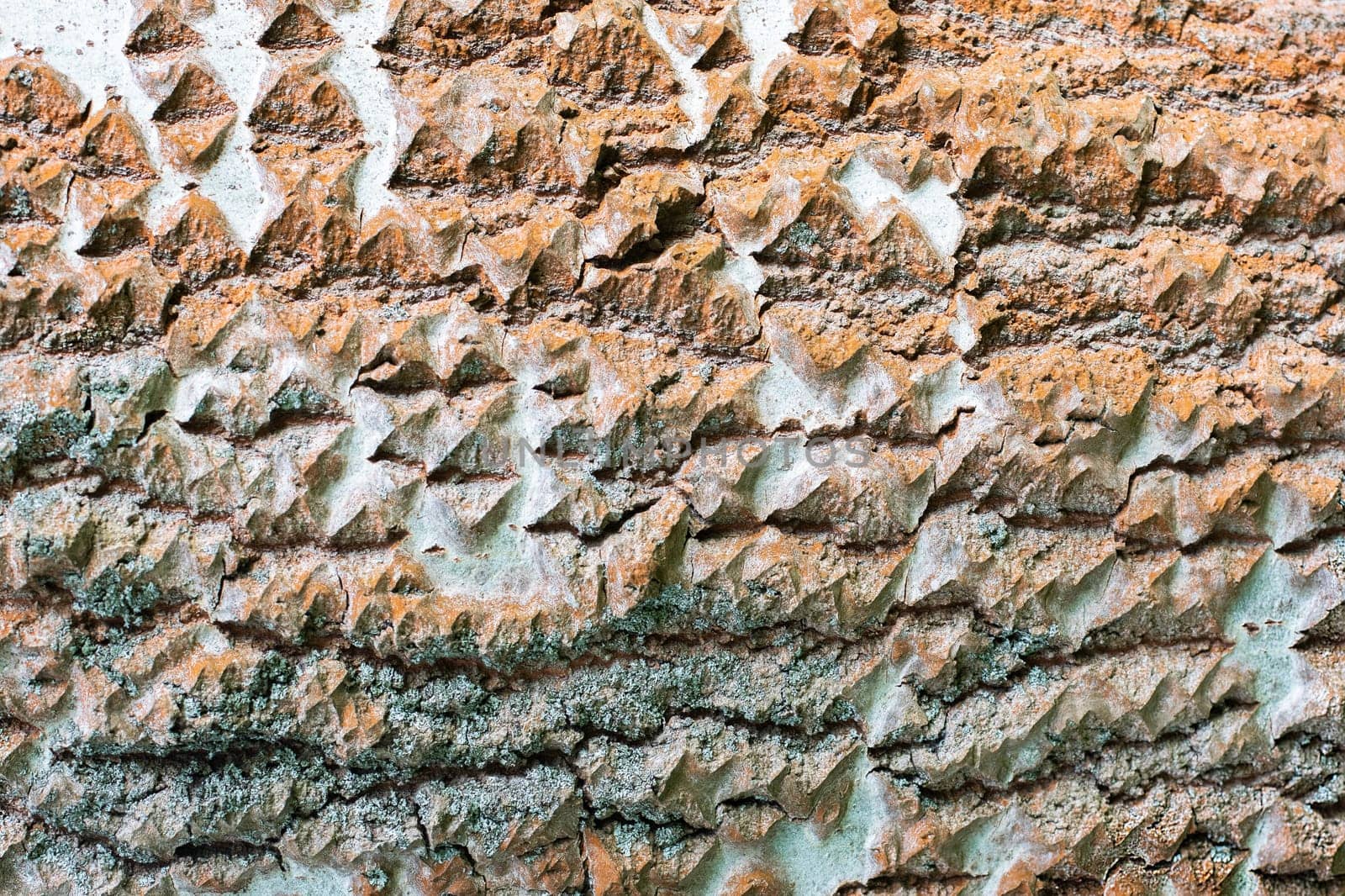 Texture of white birch tree bark, background image. High quality photo