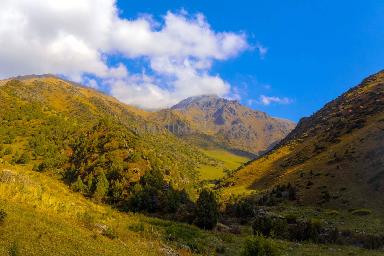 A striking view into a deep mountain valley reveals steep slopes covered in varying shades of green and brown vegetation. Shadows and sunlight play across the terrain. The sky above is a vibrant blue with large, white, puffy clouds.