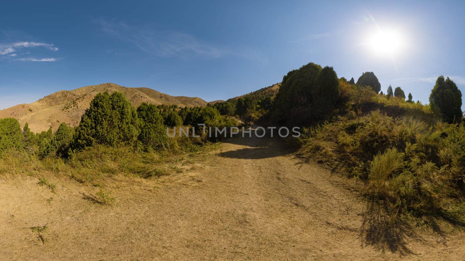 Rough dirt path winds uphill between slopes covered in green juniper trees and dry grass. Sunlit mountain landscape under a clear blue sky.