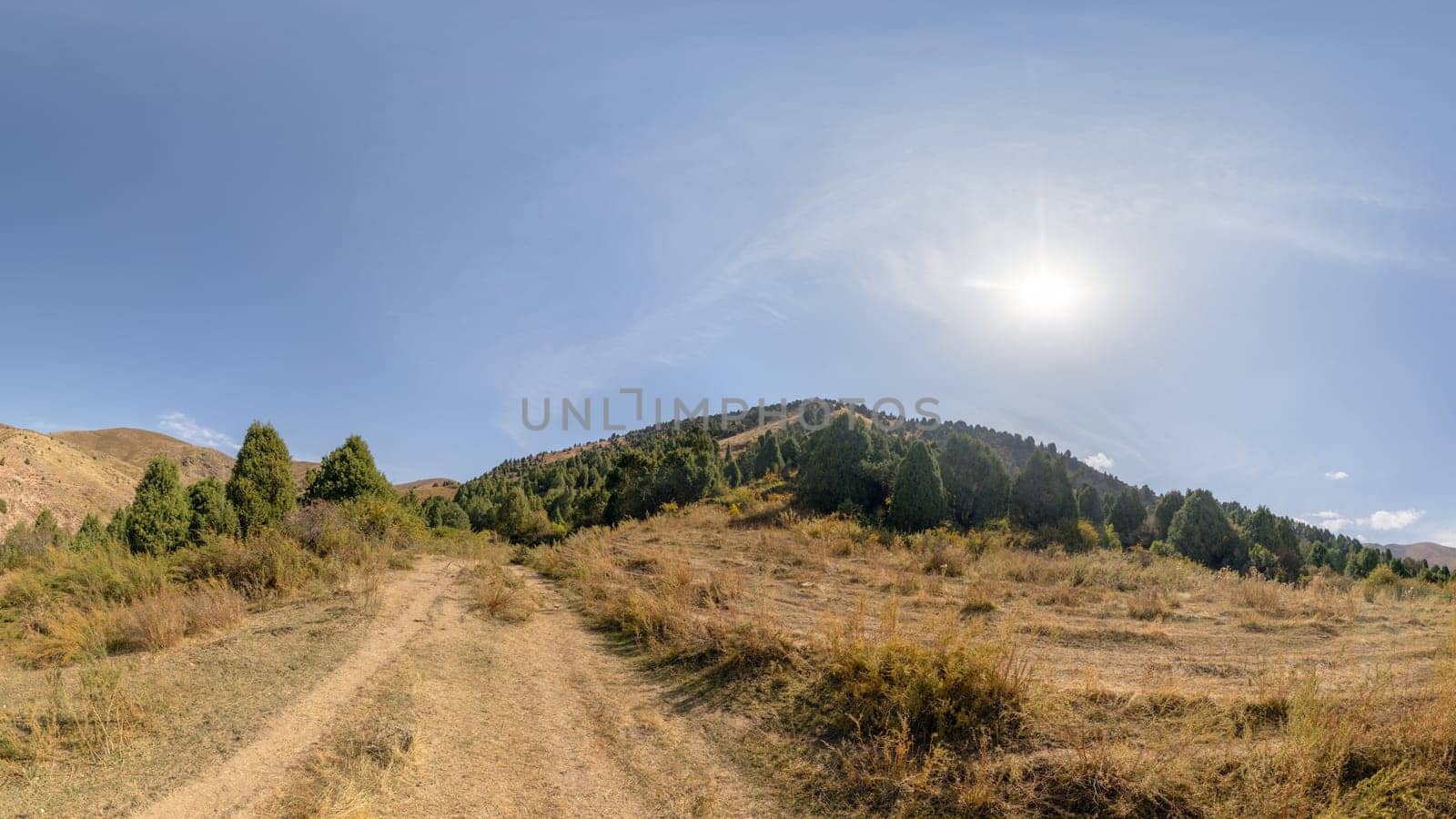 Looking up a dirt track towards a steep, sunlit mountain slope densely covered with green conifer forest. Dry grass below under a clear blue sky.