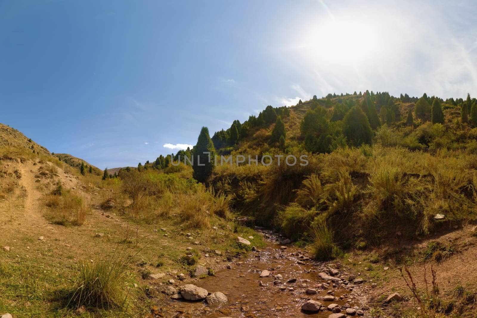 Shallow rocky creek winds through sunlit hills covered with grass, shrubs, and juniper trees. Bright sun flare in a clear blue sky. Mountain nature.