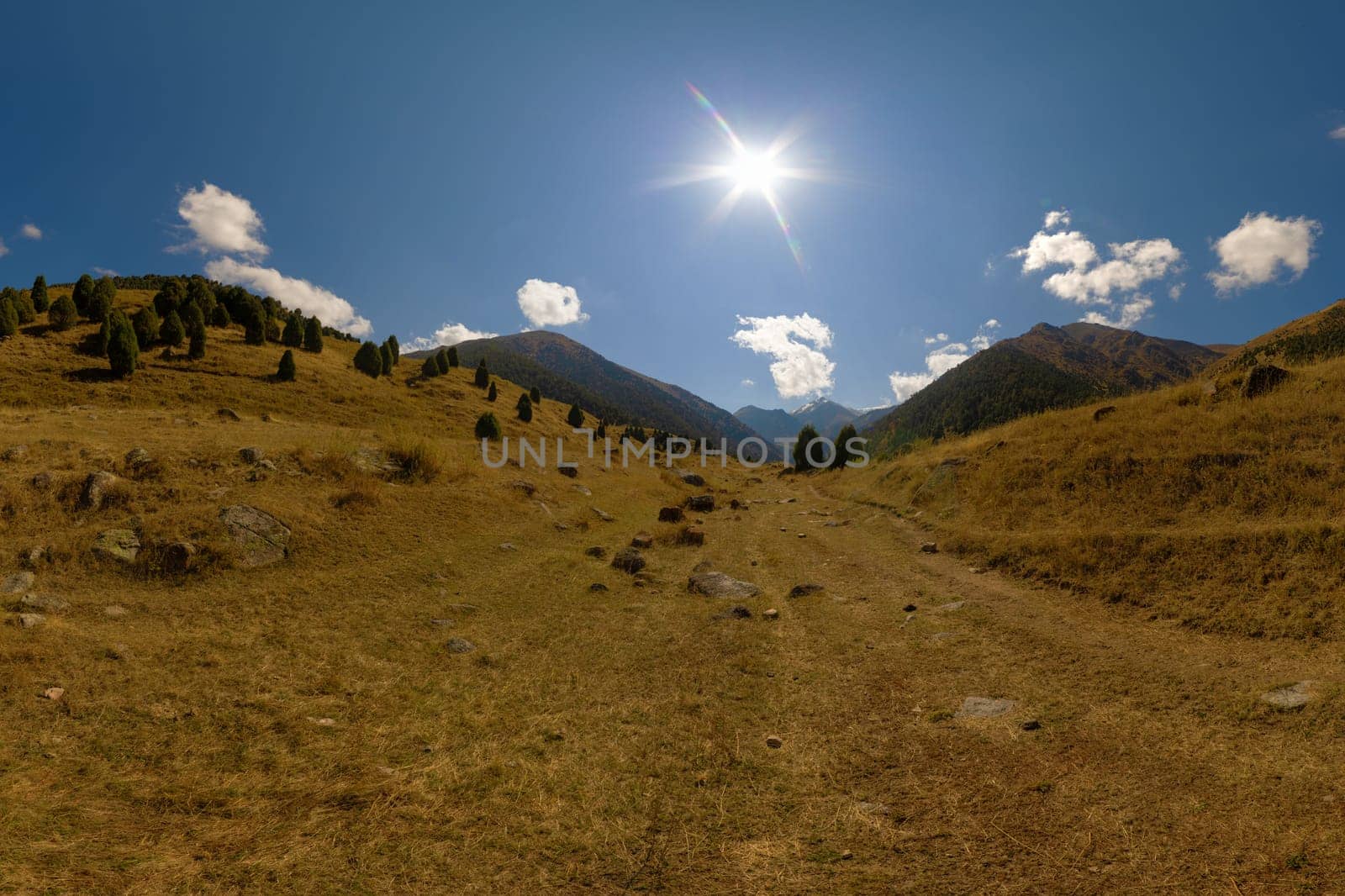 Panoramic view up a wide, sunlit mountain valley. Dry grass, scattered rocks, and juniper trees lead towards distant peaks under a blue sky with clouds in Zhylamysh, Gorge