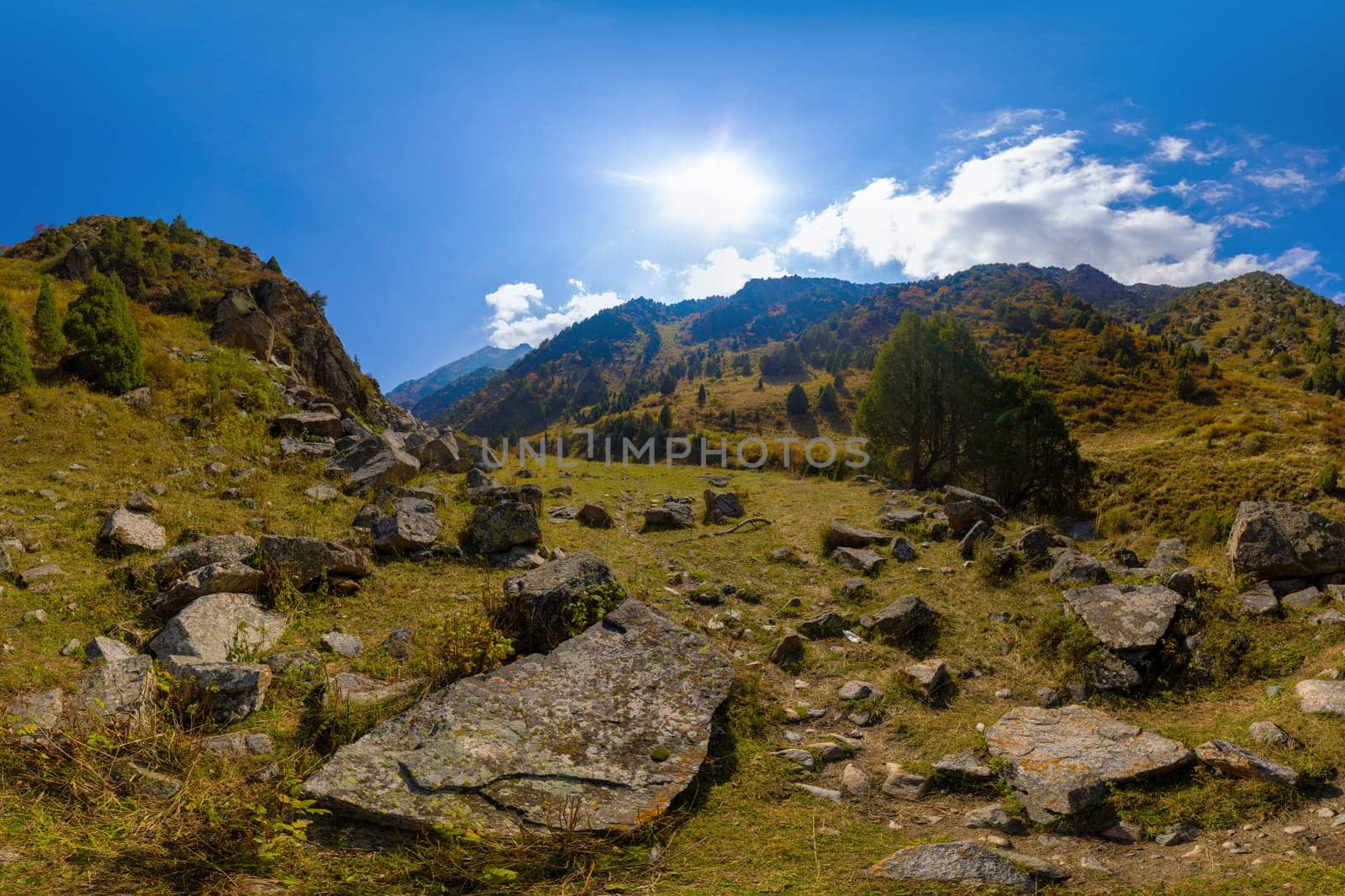 Sunlit mountain slope covered with grass and scattered large boulders. Juniper trees dot the landscape leading to higher peaks. Blue sky with clouds.