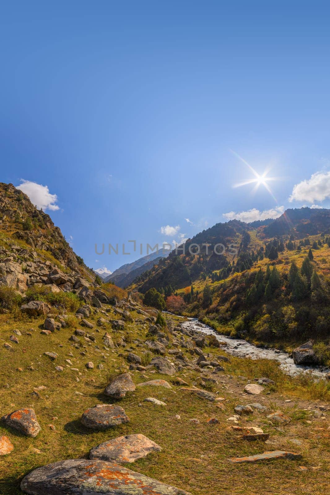 View across Zhylamysh Gorge showing a river, steep rocky cliffs, and slopes covered in green conifers and vibrant autumn foliage under a sunny sky.