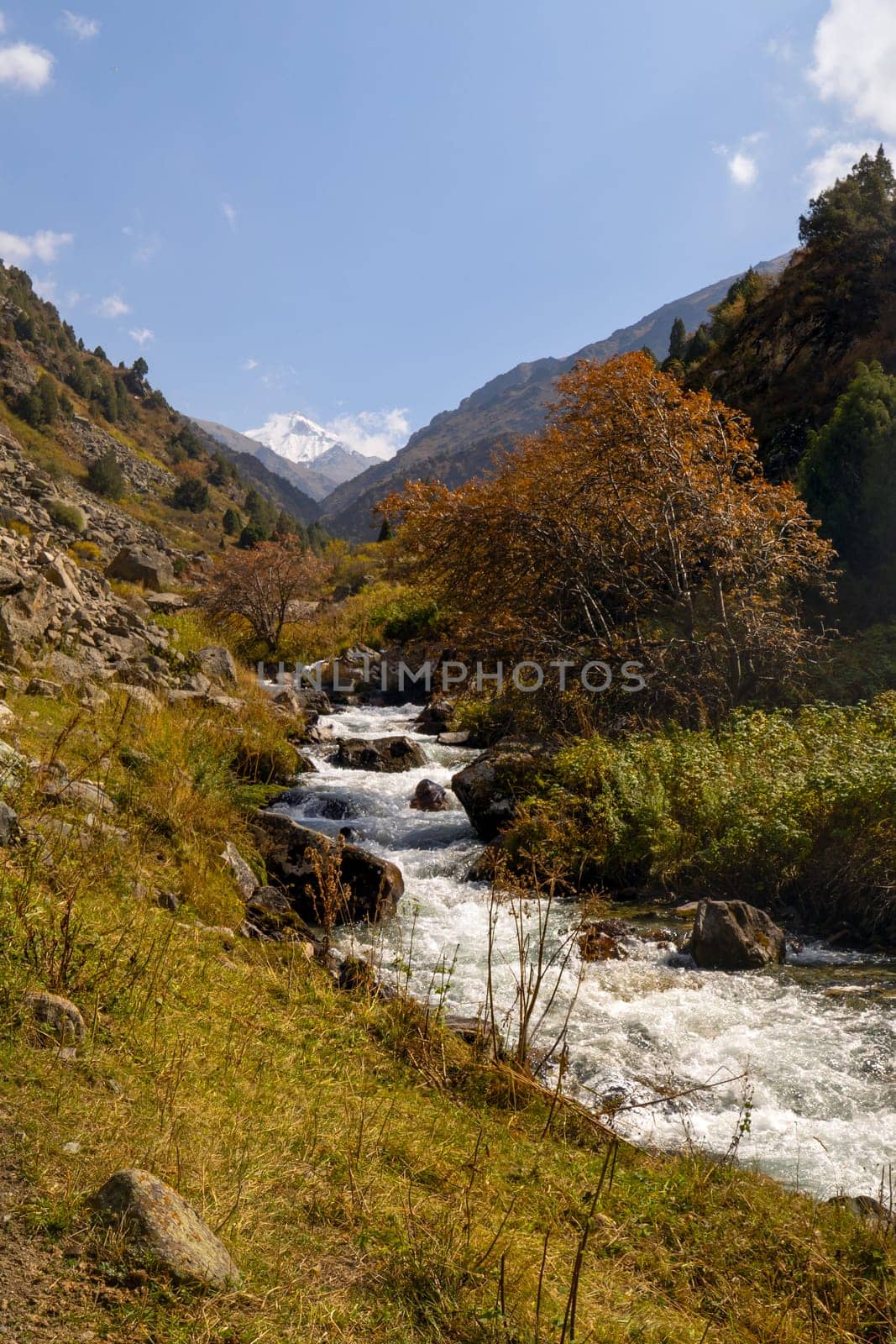 A fast-flowing mountain river with white rapids carves through a valley, bordered by a dirt hiking path.