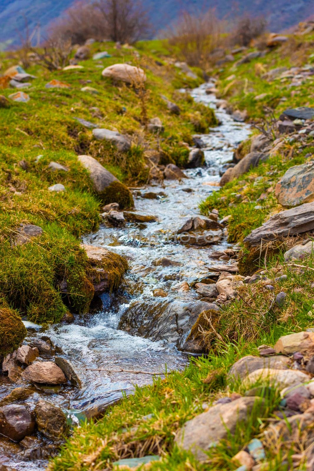 Close-up of a small, clear stream with fresh water running over rocks covered in moss and surrounded by green grass.