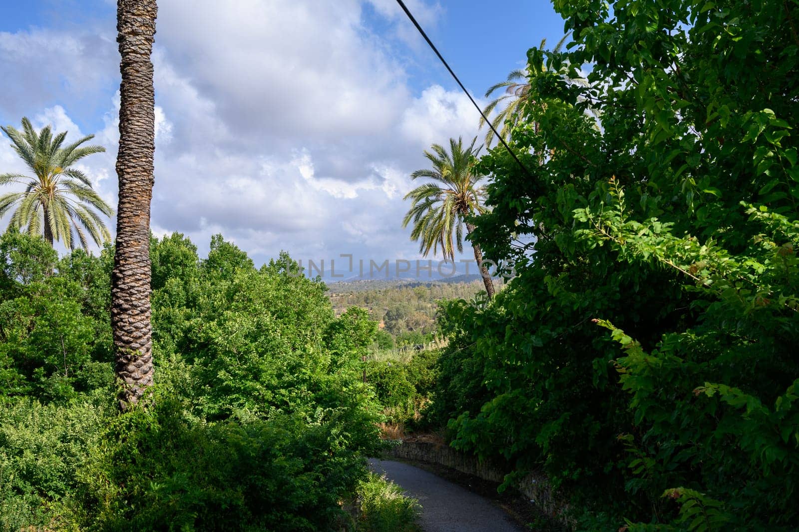 Scenic view of distant mountains framed by a lush green street with trees and traditional houses in Cyprus.