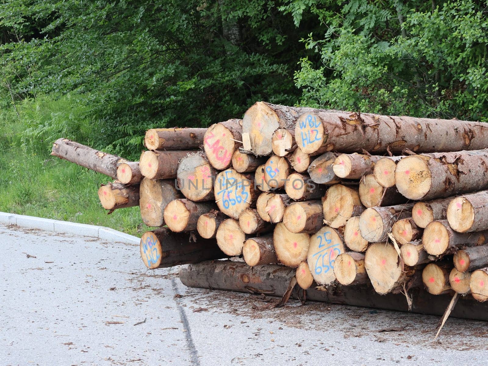Stack of Processed Timber Logs Ready for Industrial Use. A large stack of processed timber logs lies beside a road near a forest, prepared for industrial transport and further processing. This image highlights the forestry and wood supply chain in action, illustrating natural resource utilization and timber production.