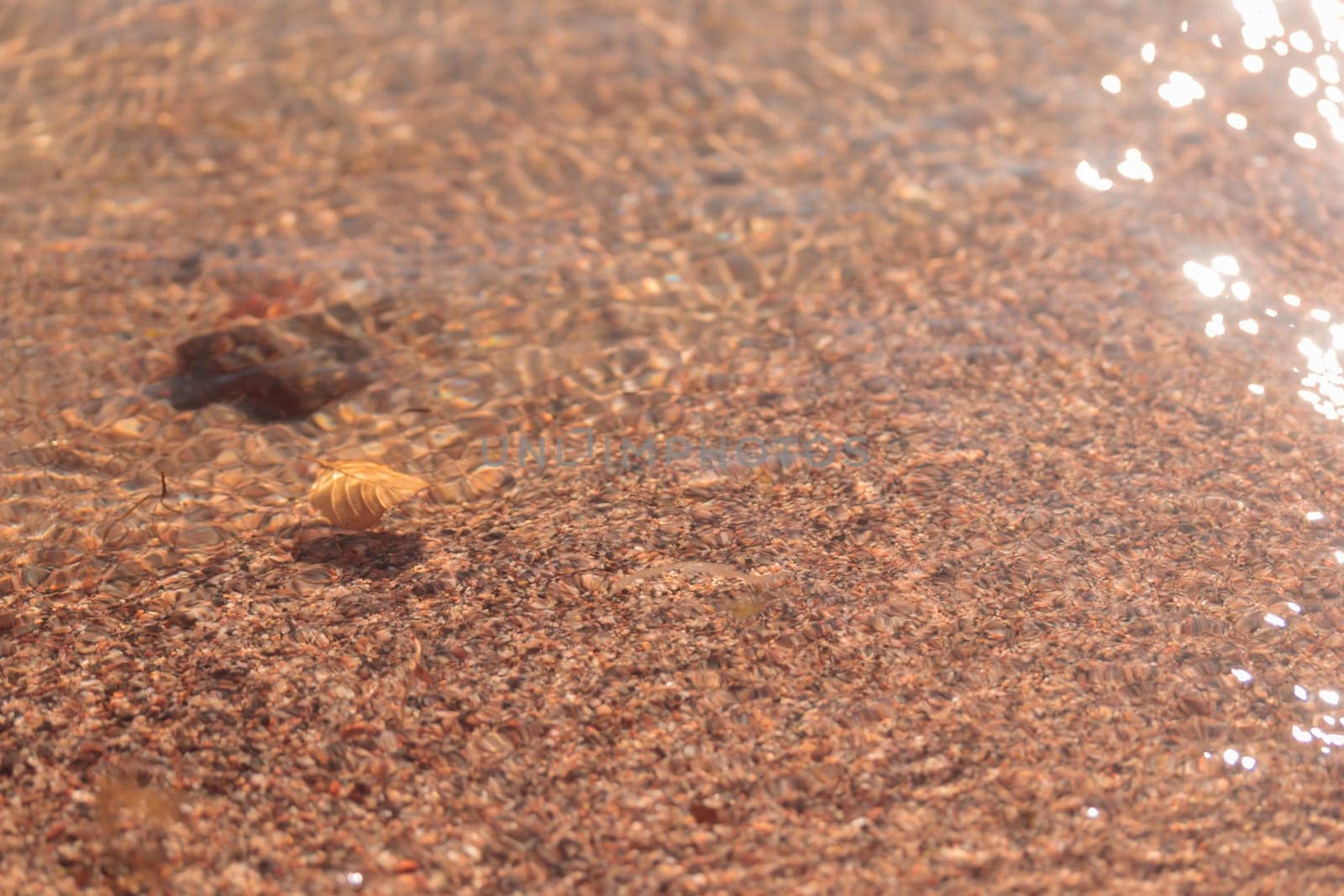 The raw textures of Finnish nature in fall - a rich autumn palette of earthy tones: ochre, brown, and muted yellow. The beauty of the Nordic forest wilderness as a serene seasonal background