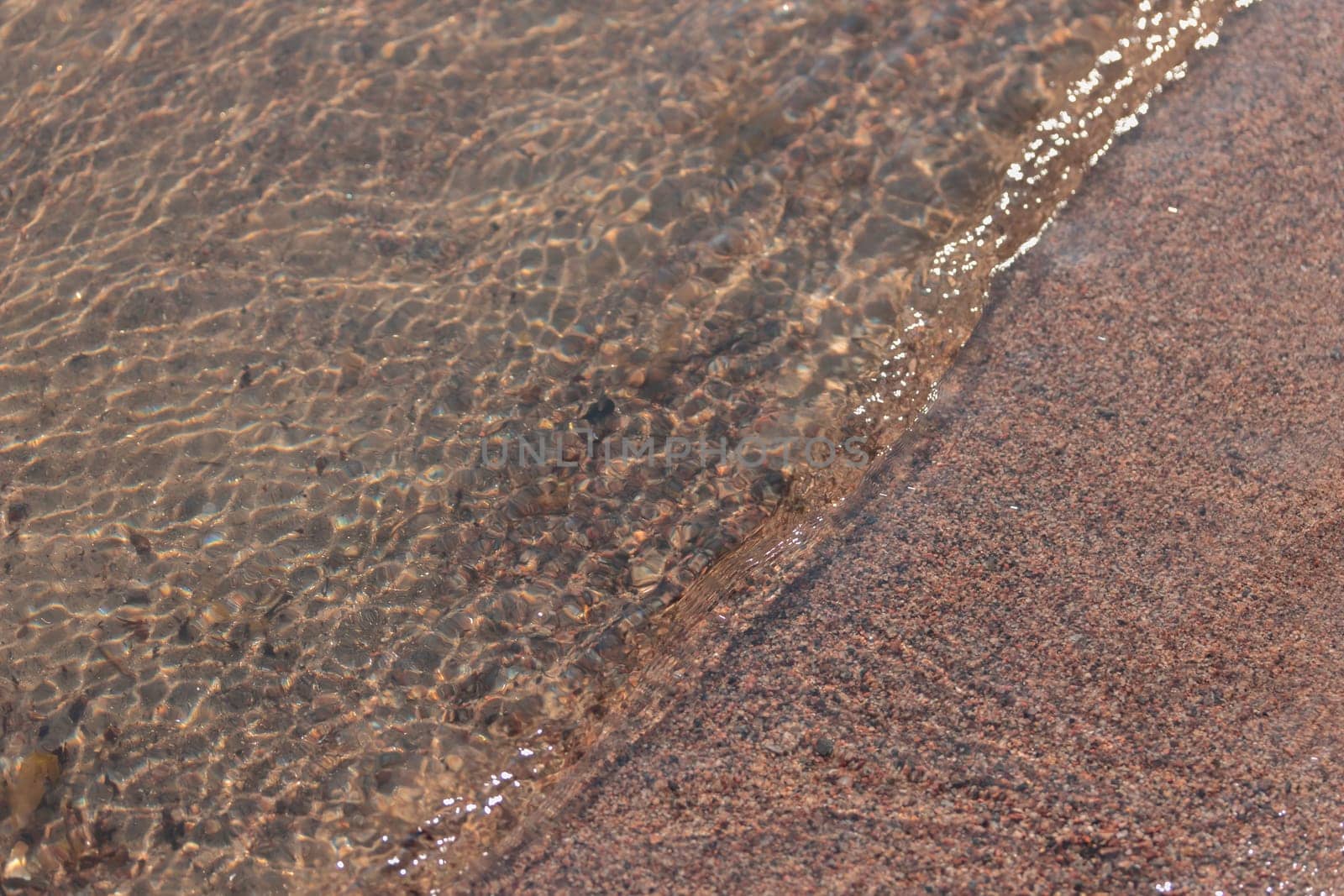 The raw textures of Finnish nature in fall - a rich autumn palette of earthy tones: ochre, brown, and muted yellow. The beauty of the Nordic forest wilderness as a serene seasonal background