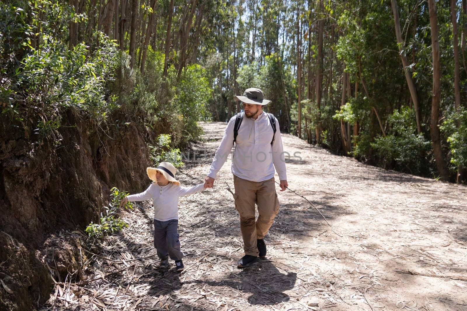 Father and son enjoying a walk through nature, holding hands and exploring the forest path together