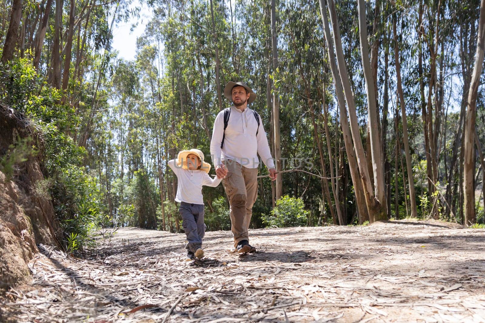 Father and daughter enjoying a leisurely walk through a sunny eucalyptus forest, promoting family bonding and outdoor adventures