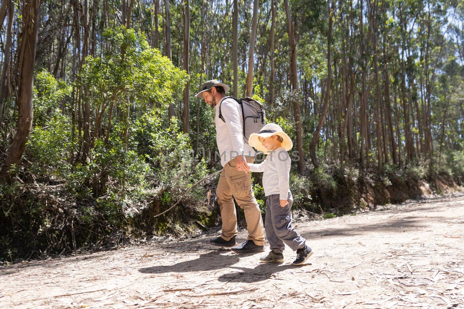 Father and son enjoying a leisurely walk through a sun-dappled eucalyptus forest, promoting family bonding and outdoor adventures