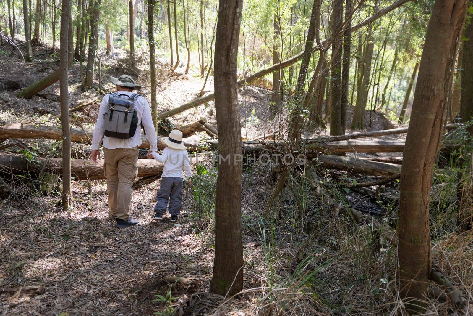 Father and son enjoying a peaceful hike through a sun-dappled forest path, surrounded by lush trees and fallen logs