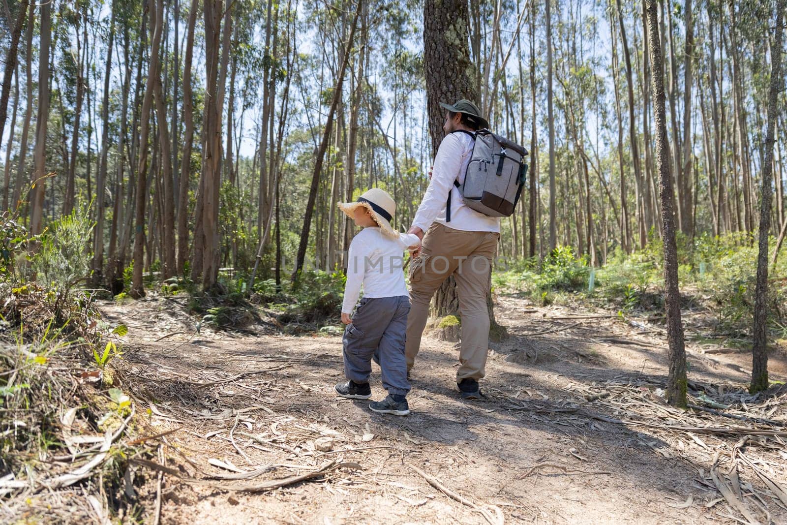 Father and son enjoying a leisurely hike through a sun-dappled forest trail