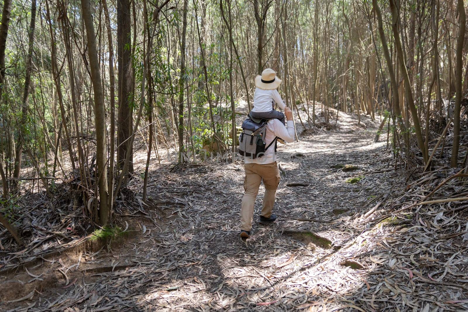Father carrying his child on his shoulders while hiking through a sunny forest trail