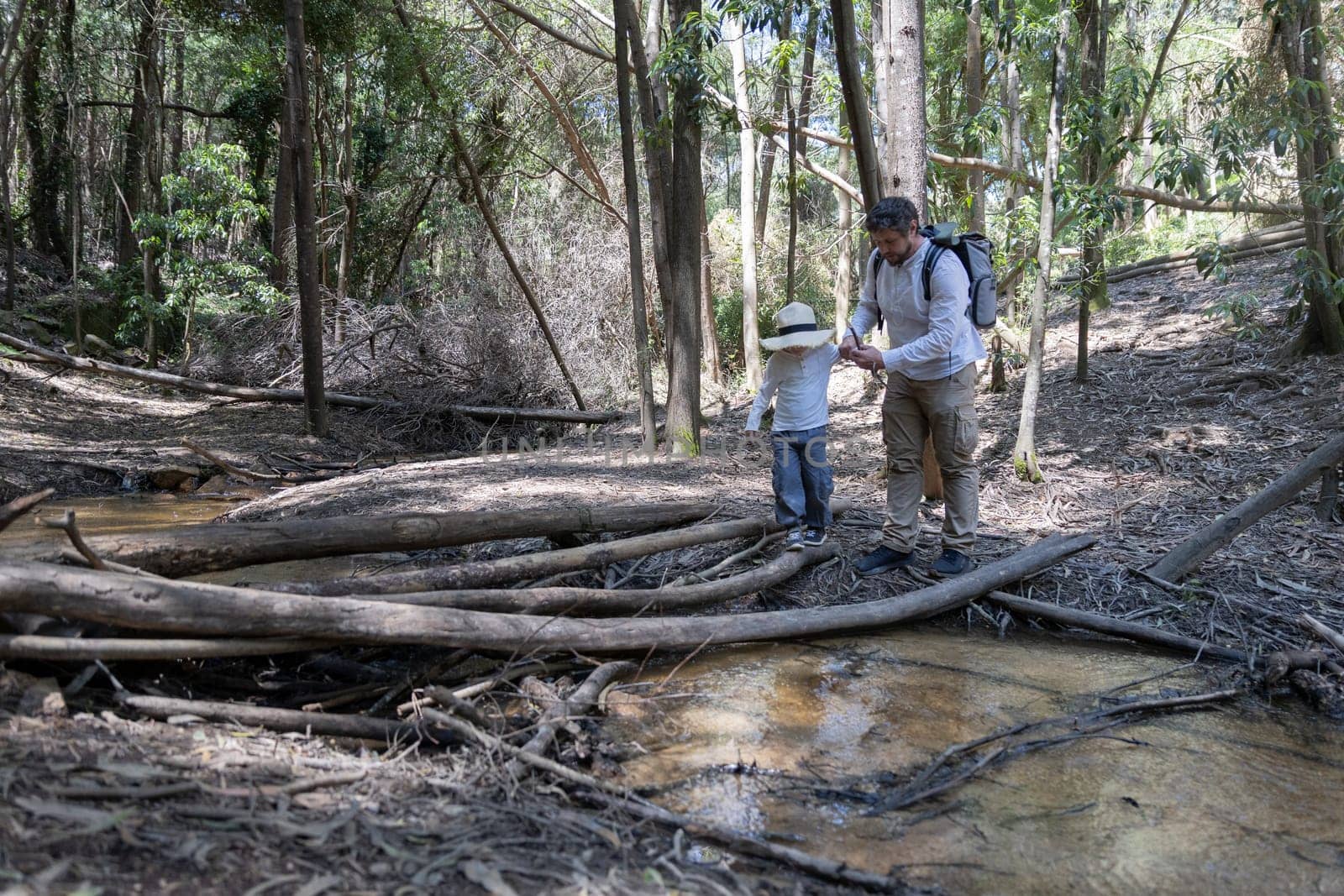 Father helping his son cross a creek walking carefully across fallen tree branches in a forest
