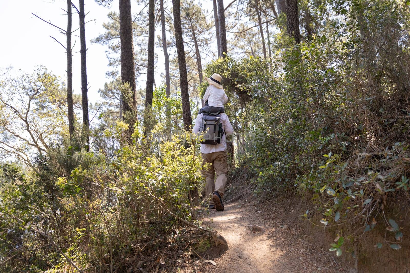 Father and child enjoying a hike through a sunny forest path