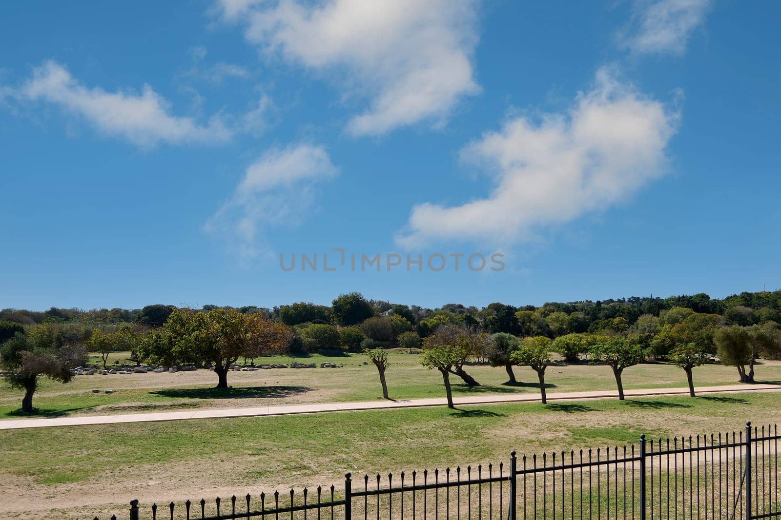 A natural landscape in Rhodes, Greece, with scattered olive trees, grassy fields, blue sky, and clouds, capturing rural Mediterranean beauty.