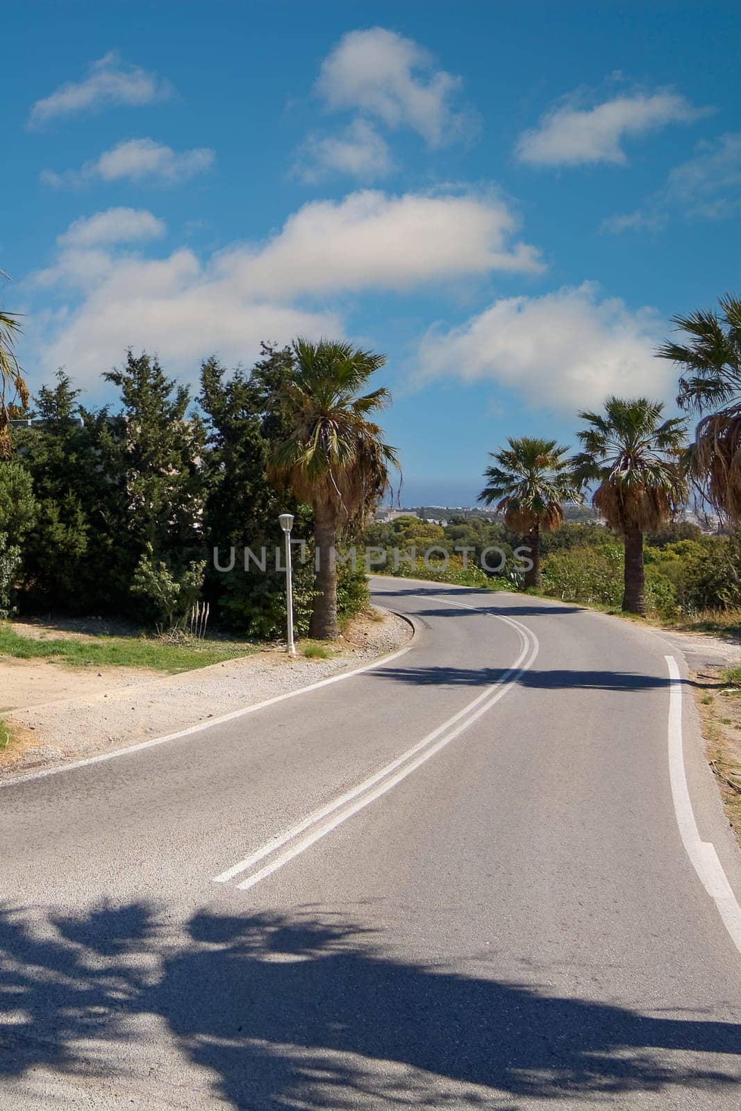 A winding road in Rhodes, Greece, flanked by palm trees and greenery, with a blue sky and clouds, capturing natural and coastal beauty.