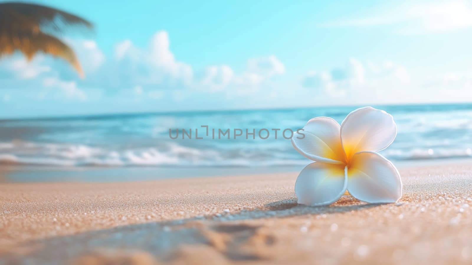 Plumeria flowers on the beach on the sand. selective focus. Generative AI, nature