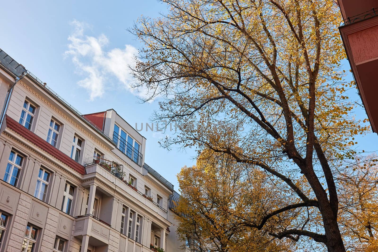 Buildings in an urban street in Berlin, tree branches with autumn leaves, pleasant townhouse with apartments