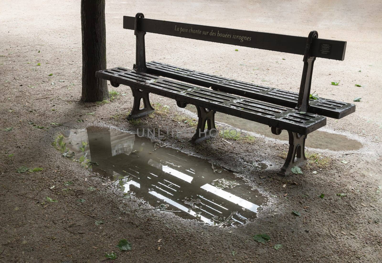 France, Paris - May 03, 2025 - One empty bench made of black iron at the Palais Royal Garden (Jardin du Palais Royal), Benches garden beneath the shade of the trees with reflection in a puddle after rain. use it as your Wallpaper, Poster and Space for text, Selective focus.