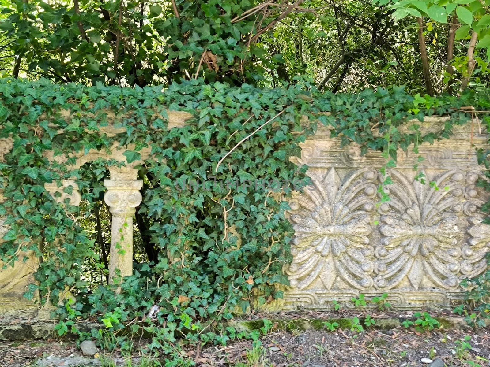 Stone ivy pattern wall architecture street building green nature summer autumn background landscape . High quality photo