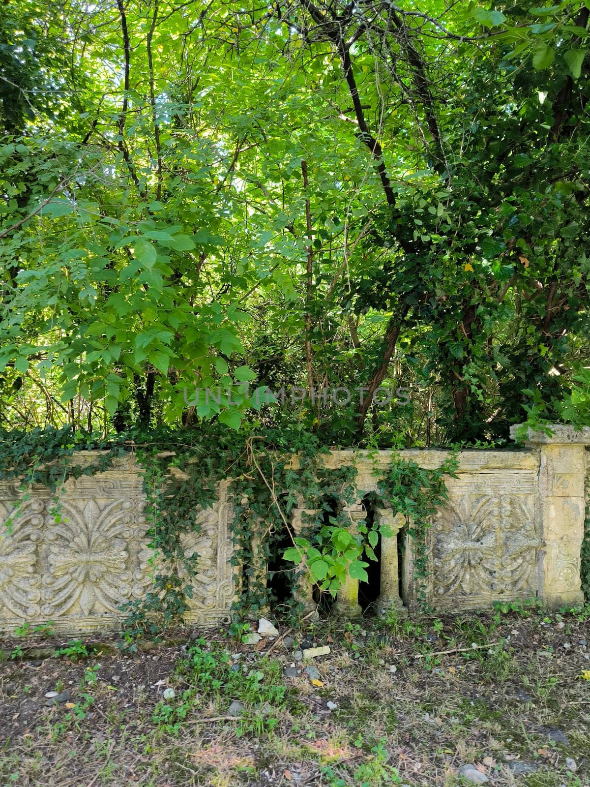 Ancient stone wall green nature summer autumn background landscape landmark park outside outdoor travel tourism shotlisttravel place destination . High quality photo