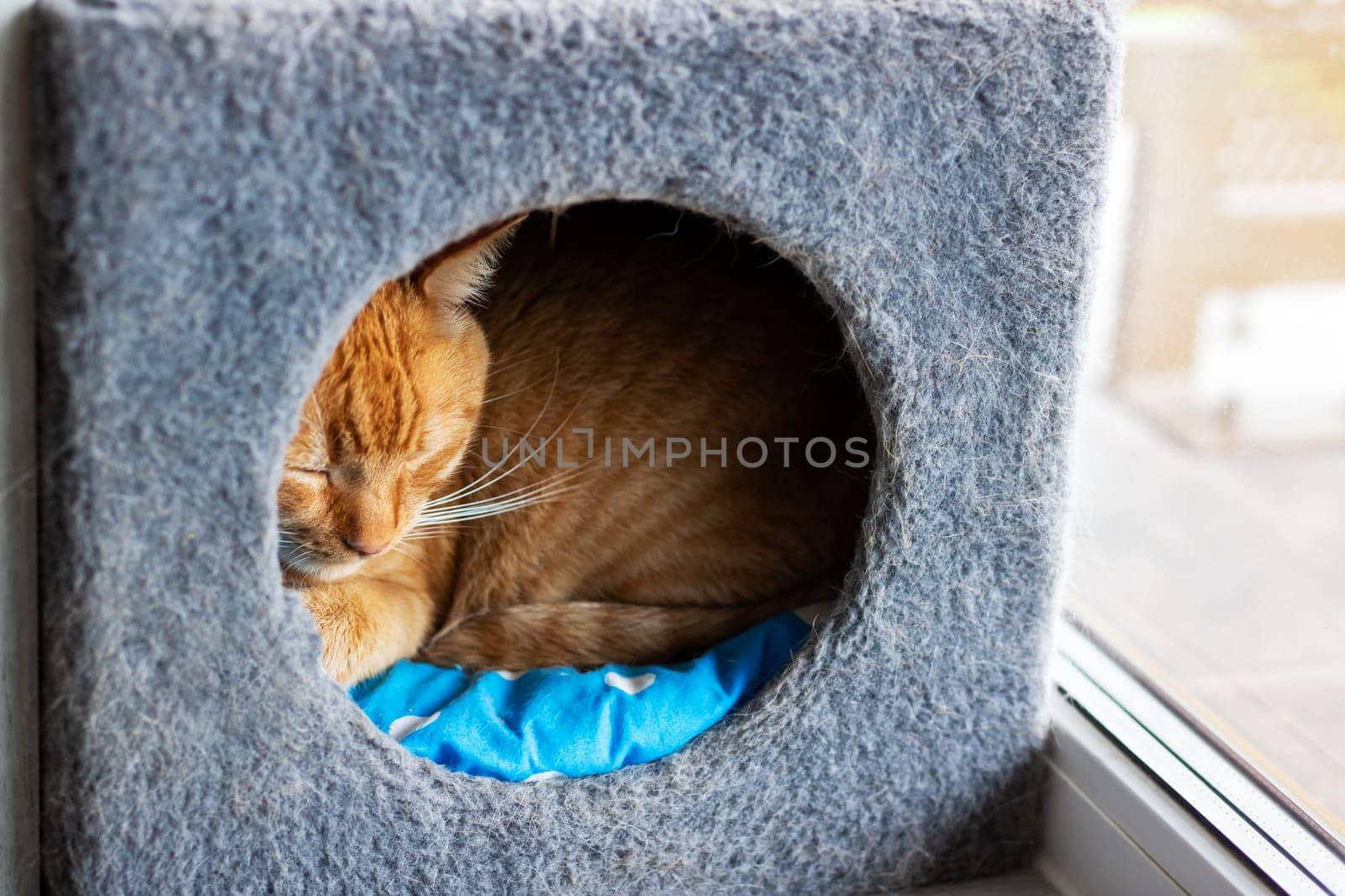 A fluffy cat is peacefully sleeping inside a cozy cat house that is perched on a sunny window sill, enjoying the warm light