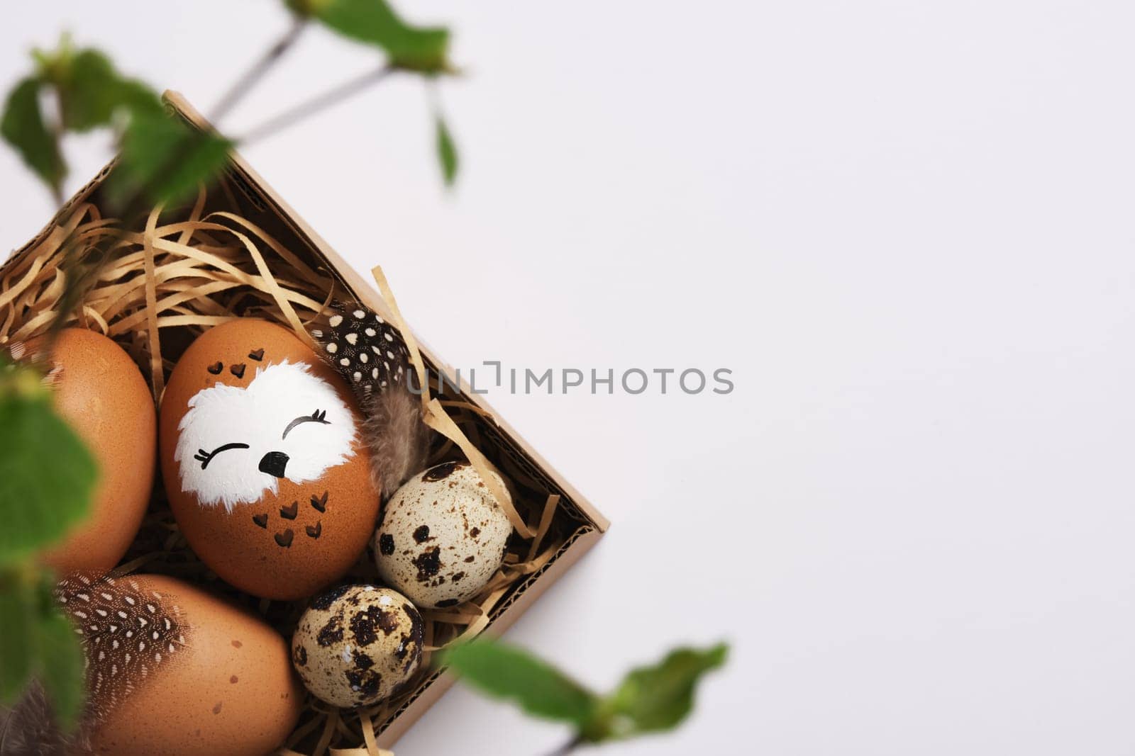 Hand painted owl egg in a nest with quail eggs. Space for your text.
