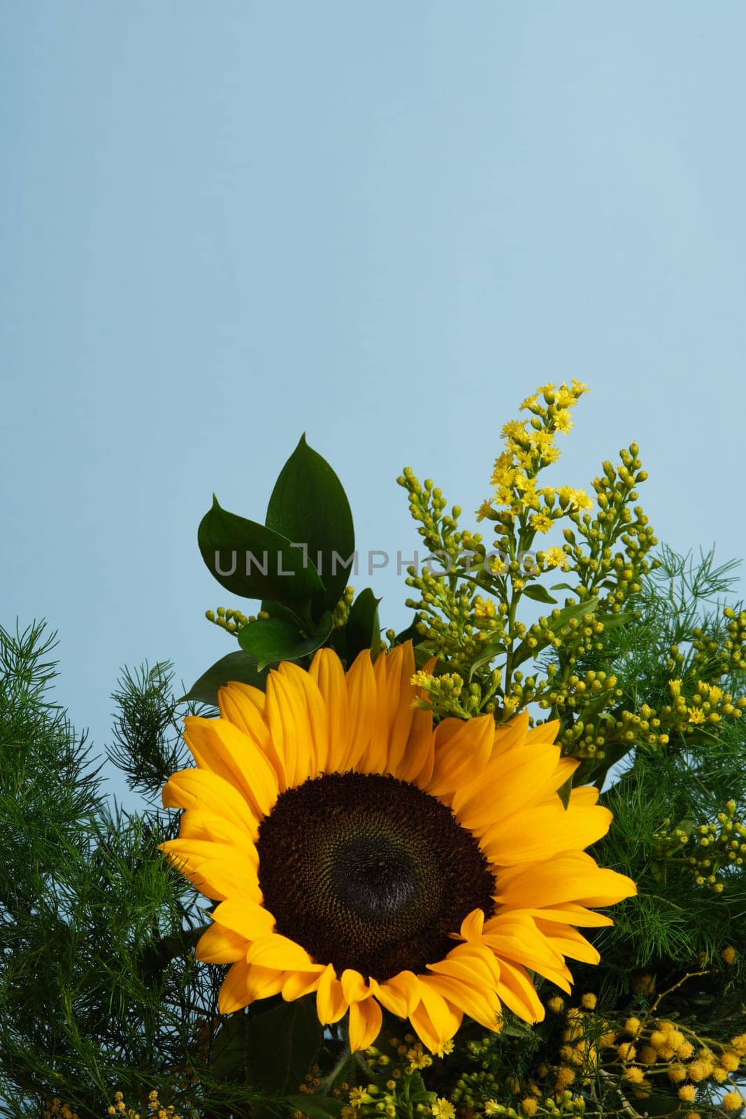 Brightly colored bouquet with yellow sunflower and green foliage on a blue background. Place for your text.