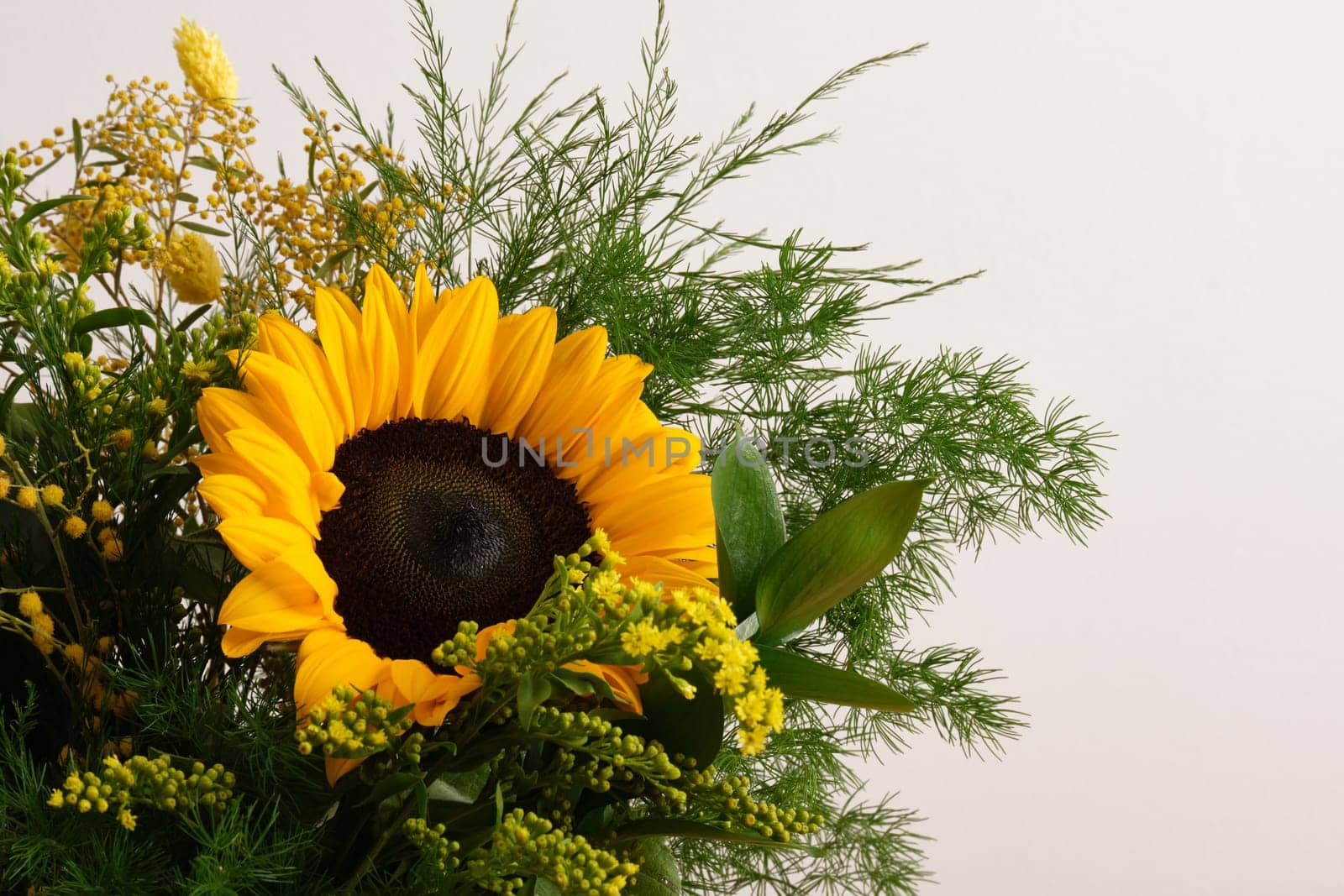 Close-up of a sunflower with lush green foliage on a light-colored background. Place for text.