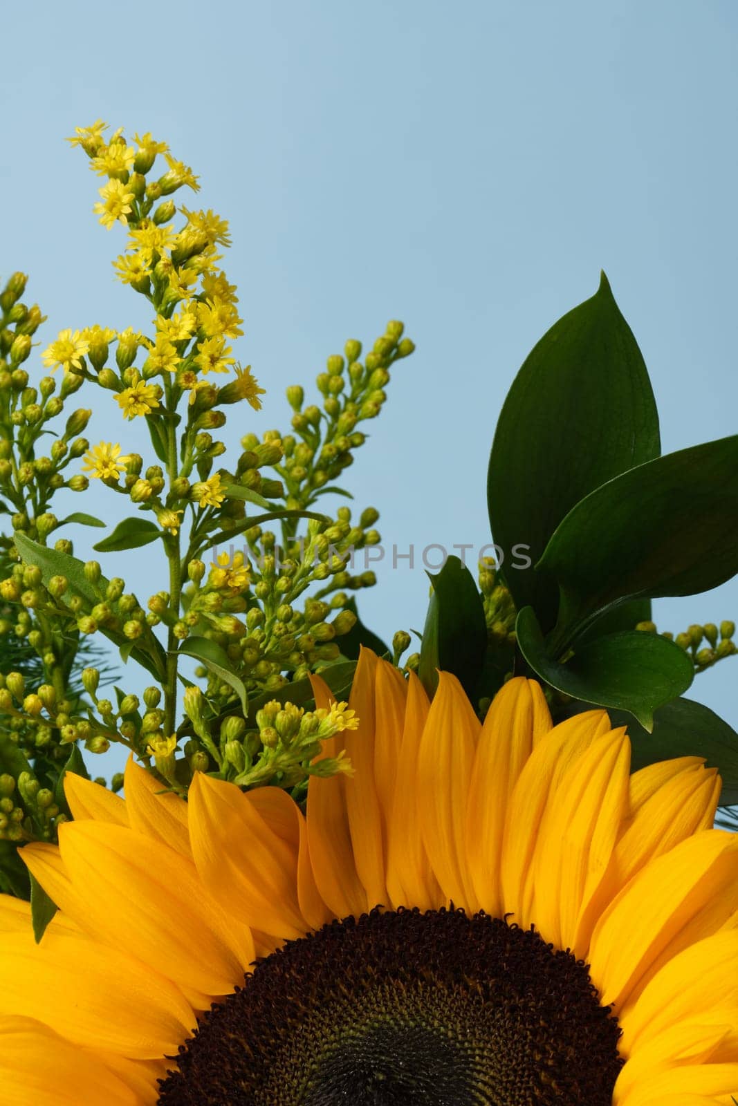 Brightly colored bouquet with yellow sunflower and green foliage on a blue background. Place for your text.