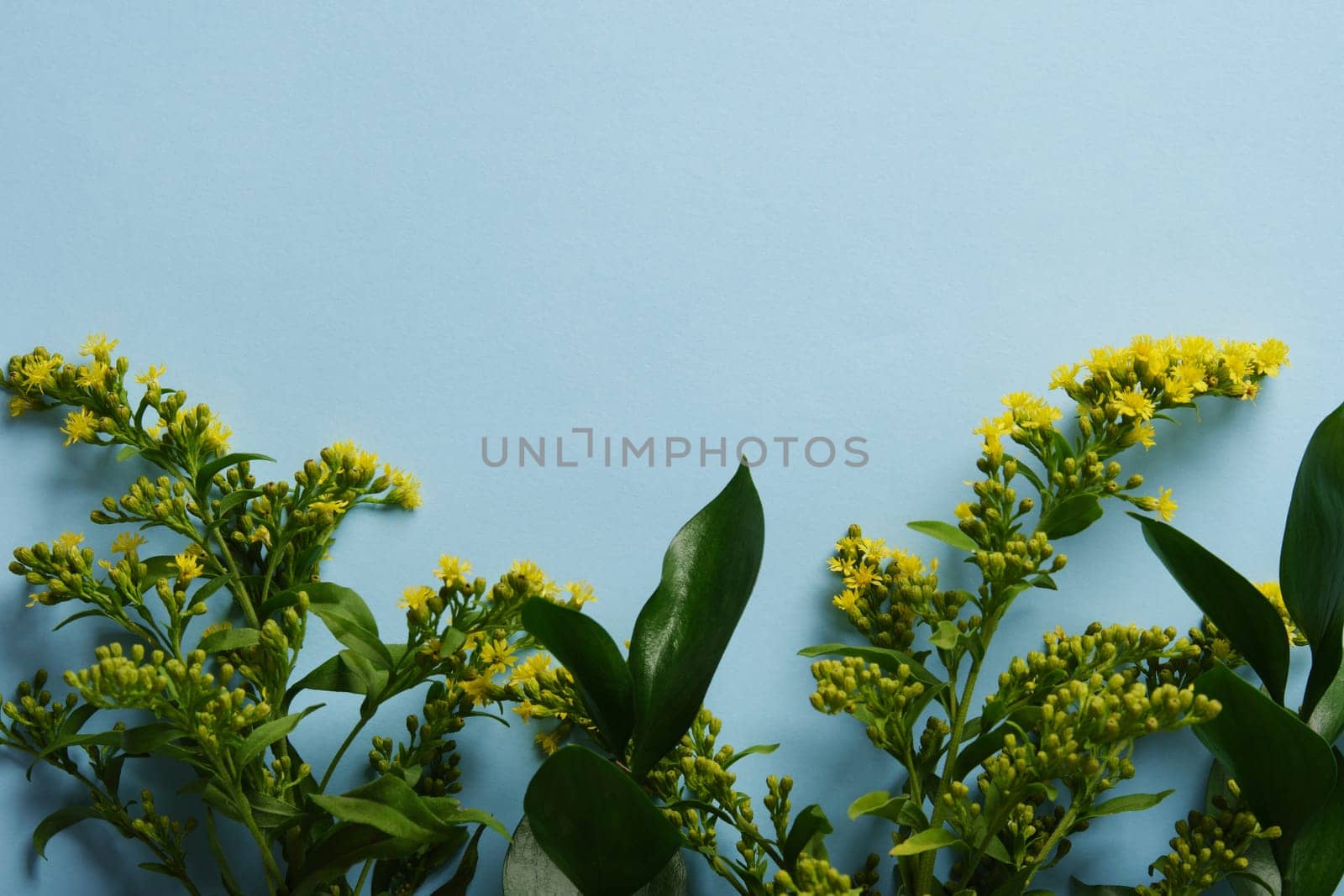 Yellow wildflowers with green leaves are arranged along the bottom of a light blue background, a frame for your text. Suitable for seasonal themes, botanical concepts and eco-friendly, bright visual projects with clean aesthetics.