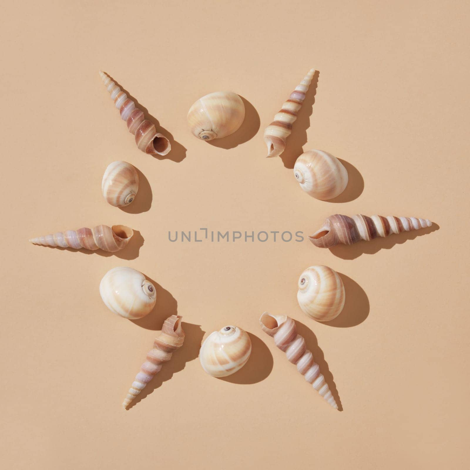 Round frame of brown shells on a beige background with hard shadows. A place for your text.