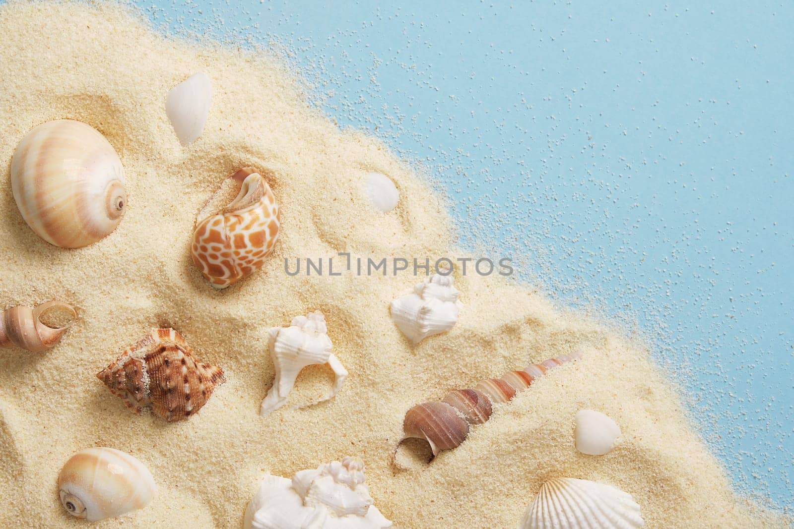 Card with white and brown shells lying on fine golden sand on a blue background. Space for your text.