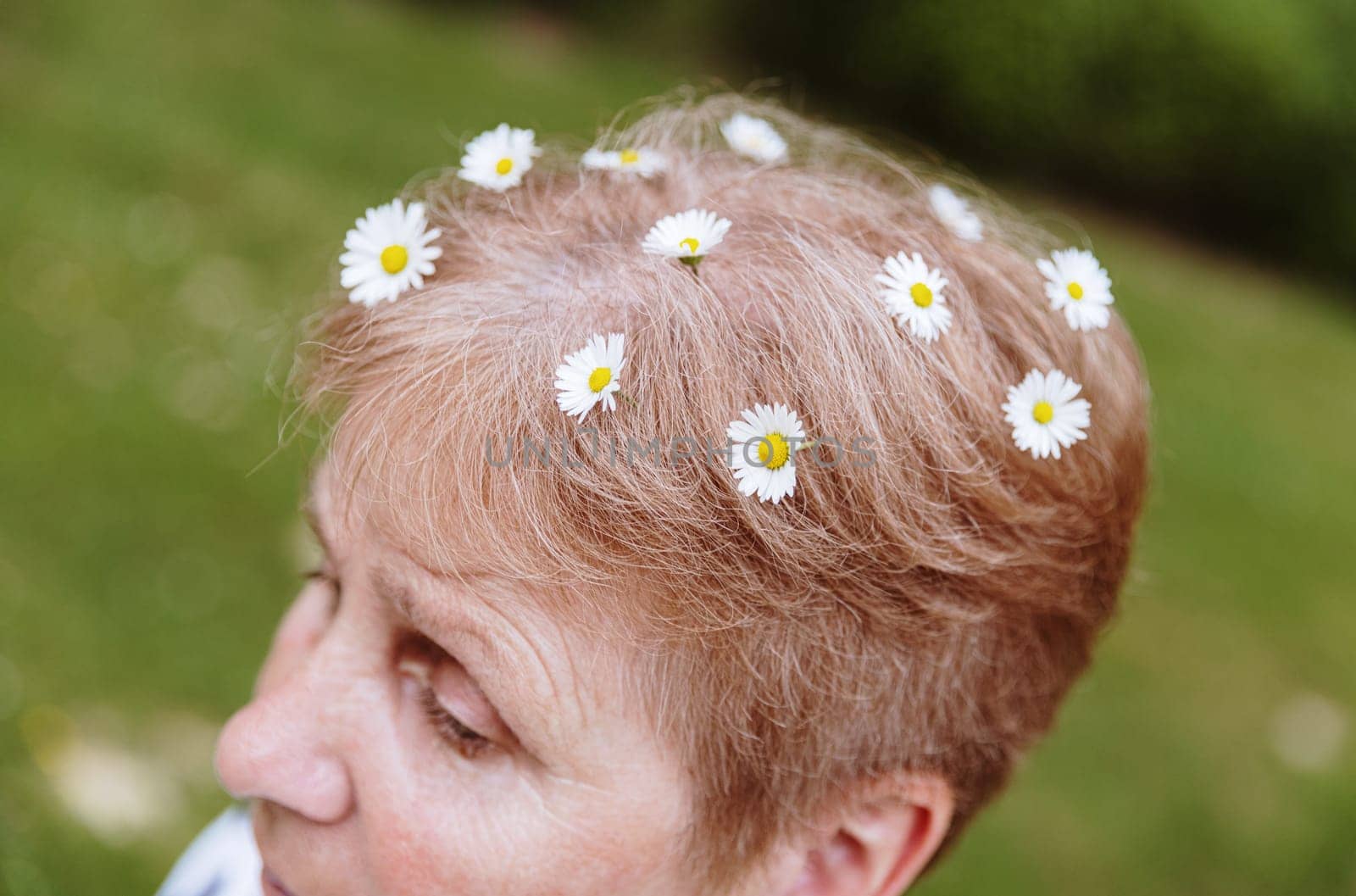 Beautiful view of many small daisies on the head of one beautiful Caucasian elderly woman on a spring day in the park, close-up top side view. Creative walks in the park concept.