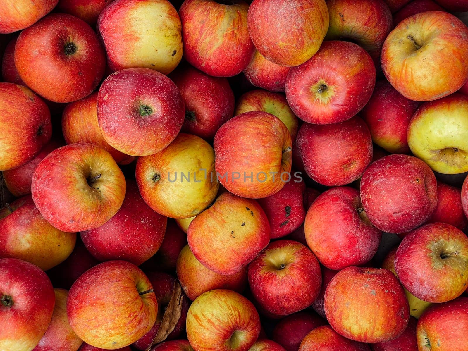 lots of ripe berries apple for food as background